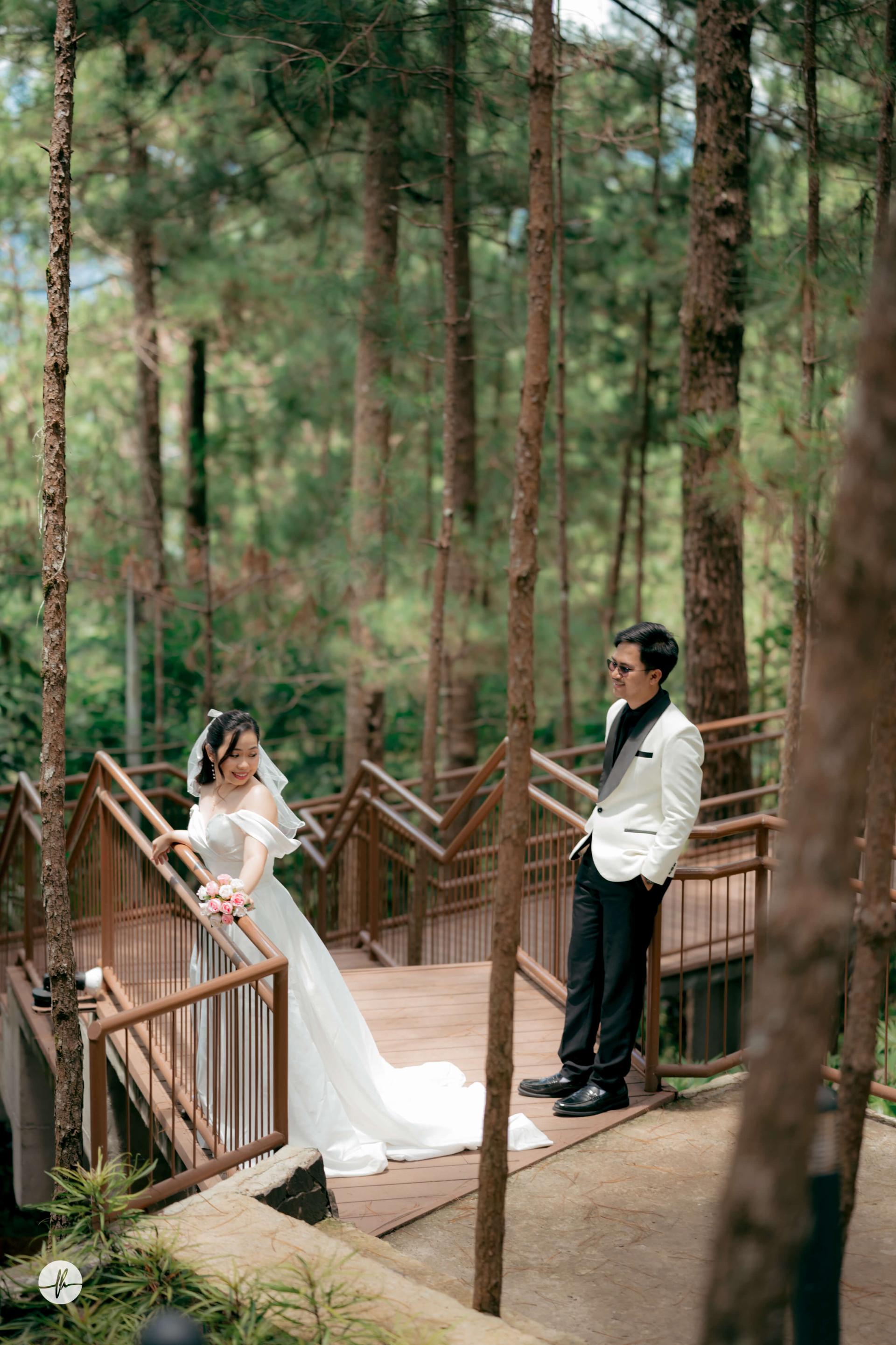 Wedding Photo Background